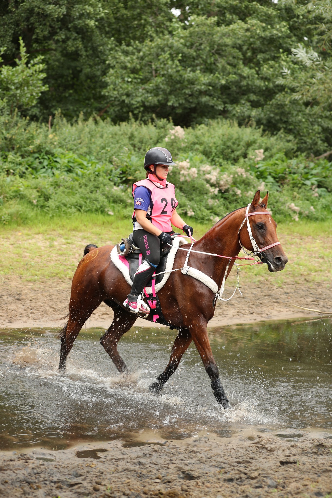 Thetford - 𝗖𝗘𝗡 𝟴𝟬𝗞𝗠 𝟭𝘀𝘁 𝗣𝗟𝗔𝗖𝗘 𝗔𝗡𝗗 𝗕𝗘𝗦𝗧 𝗖𝗢𝗡𝗗𝗜𝗧𝗜𝗢𝗡 In the CEN 80km at ...