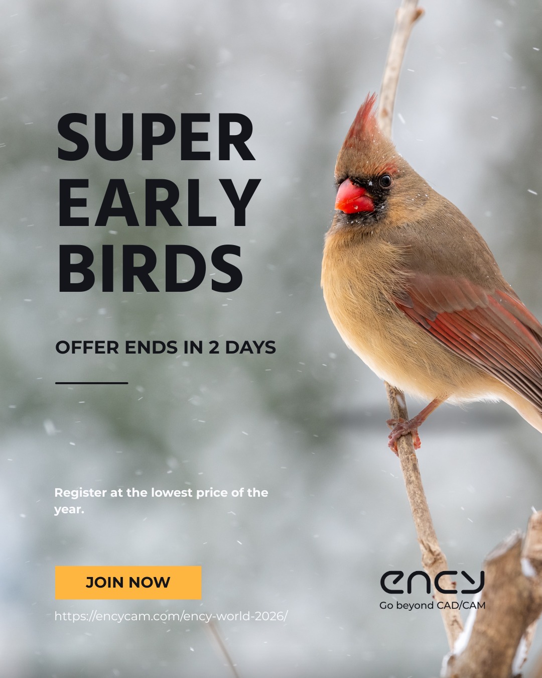 ENCY - Super Early Birds — Last 2 Days! Super Early Bird tickets for ...