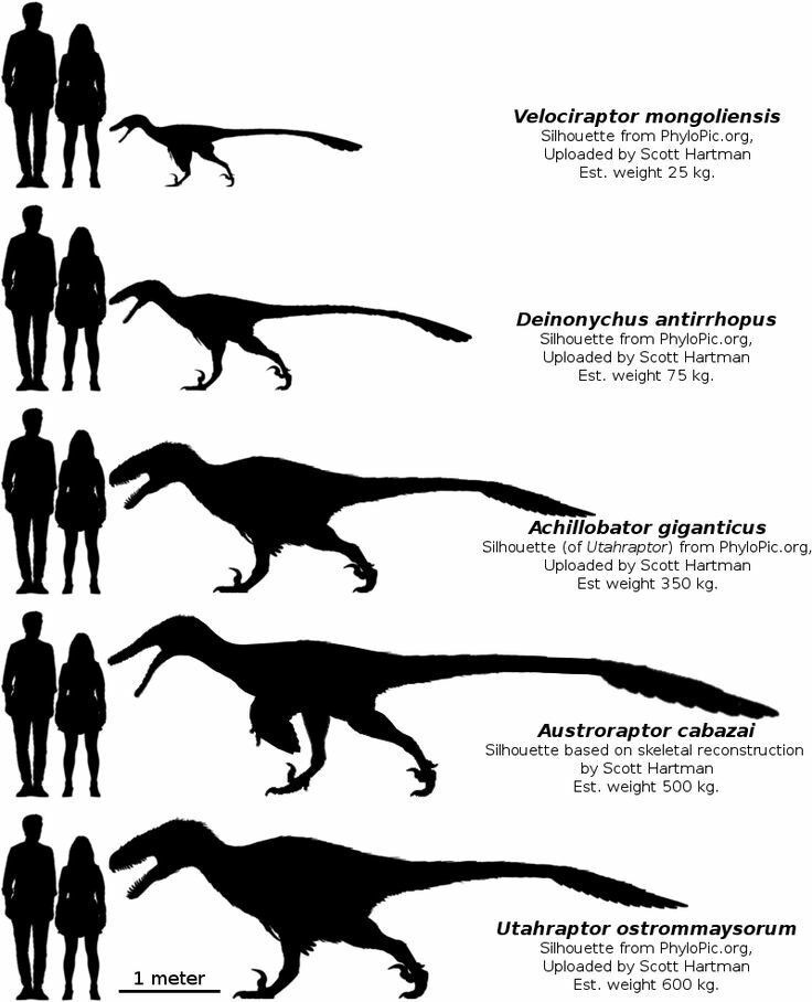 Peter - Dinosaur enthusiasts, get ready to see some of your favorite ...