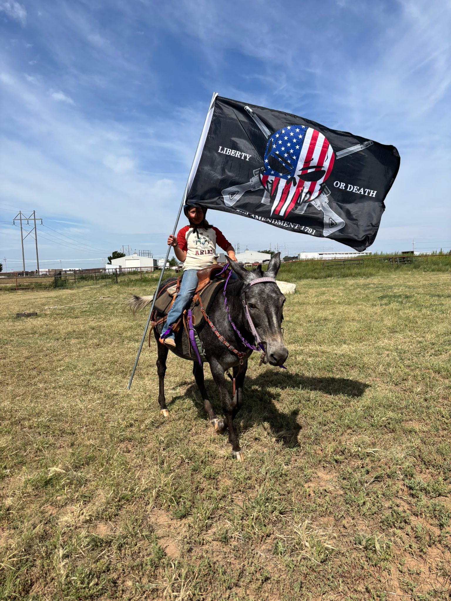 TK Ranch Equestrian... - TK Ranch Equestrian Skills Course