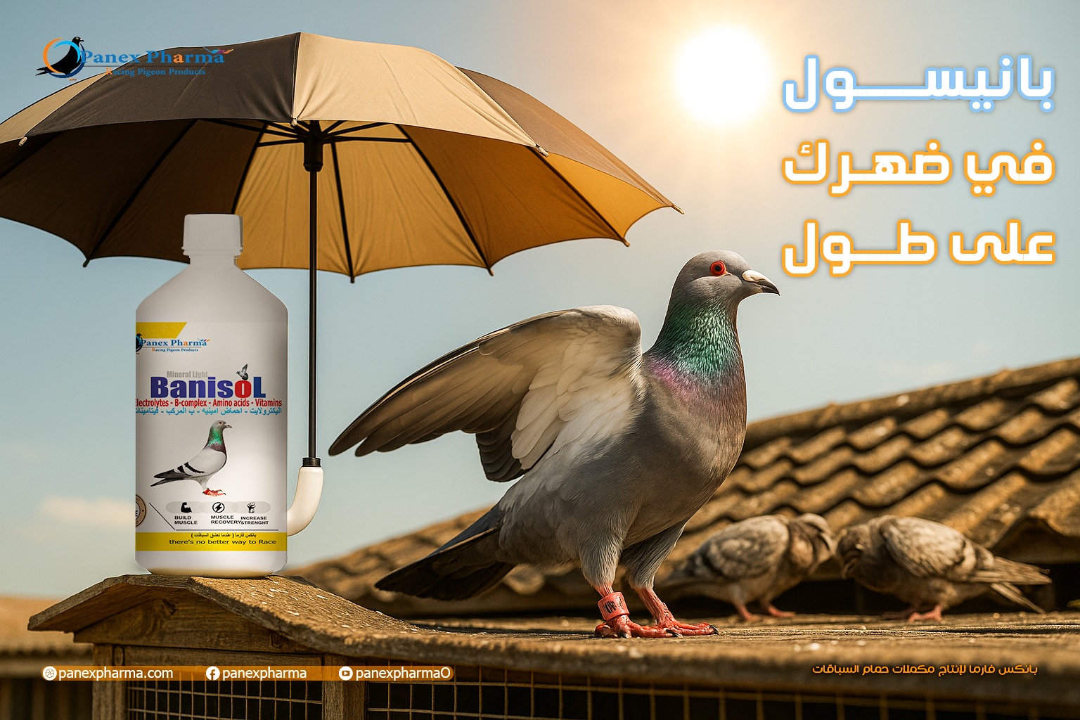 بانكس فارما - Panex Pharma