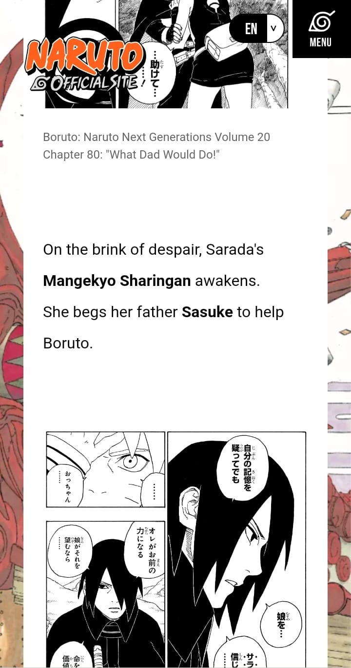Boruto story guide book available for purchase