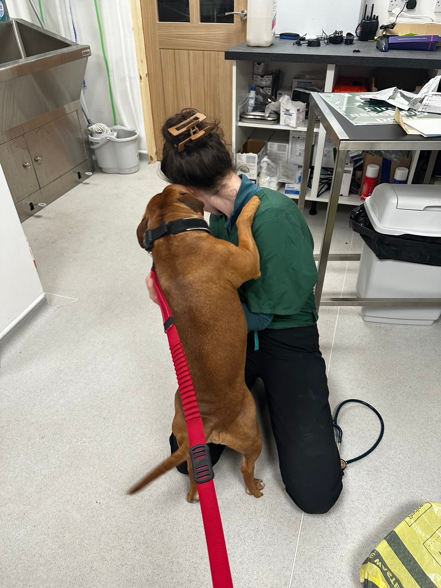 Riley’s Vets | Haslingden
