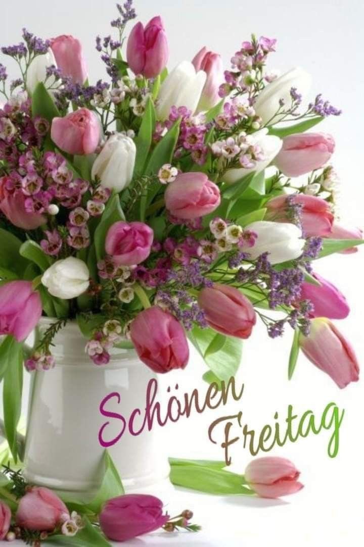 Guten Morgen und einen schönen Freitag! Das Wochenende steht in den Startlöchern … nun trinkt in Ruhe euren Kaffee ☕️ und kommt gut in den Tag ! 🤗☕️🙏🍀💐🐞