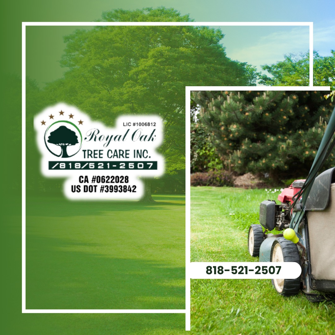 Royal Oak Tree Care Inc
