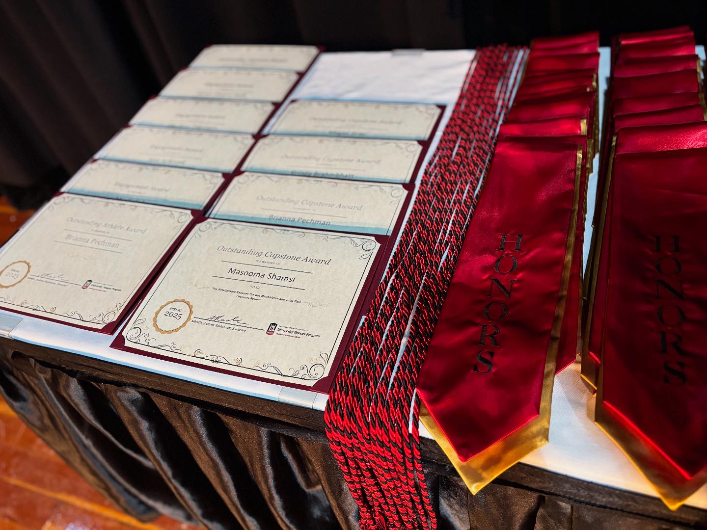 NIU University Honors Program | DeKalb IL