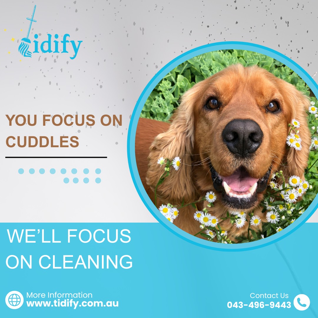 Tidify - 🐾 You cuddle, we clean! 🧼 At Tidify, we know your... | Facebook