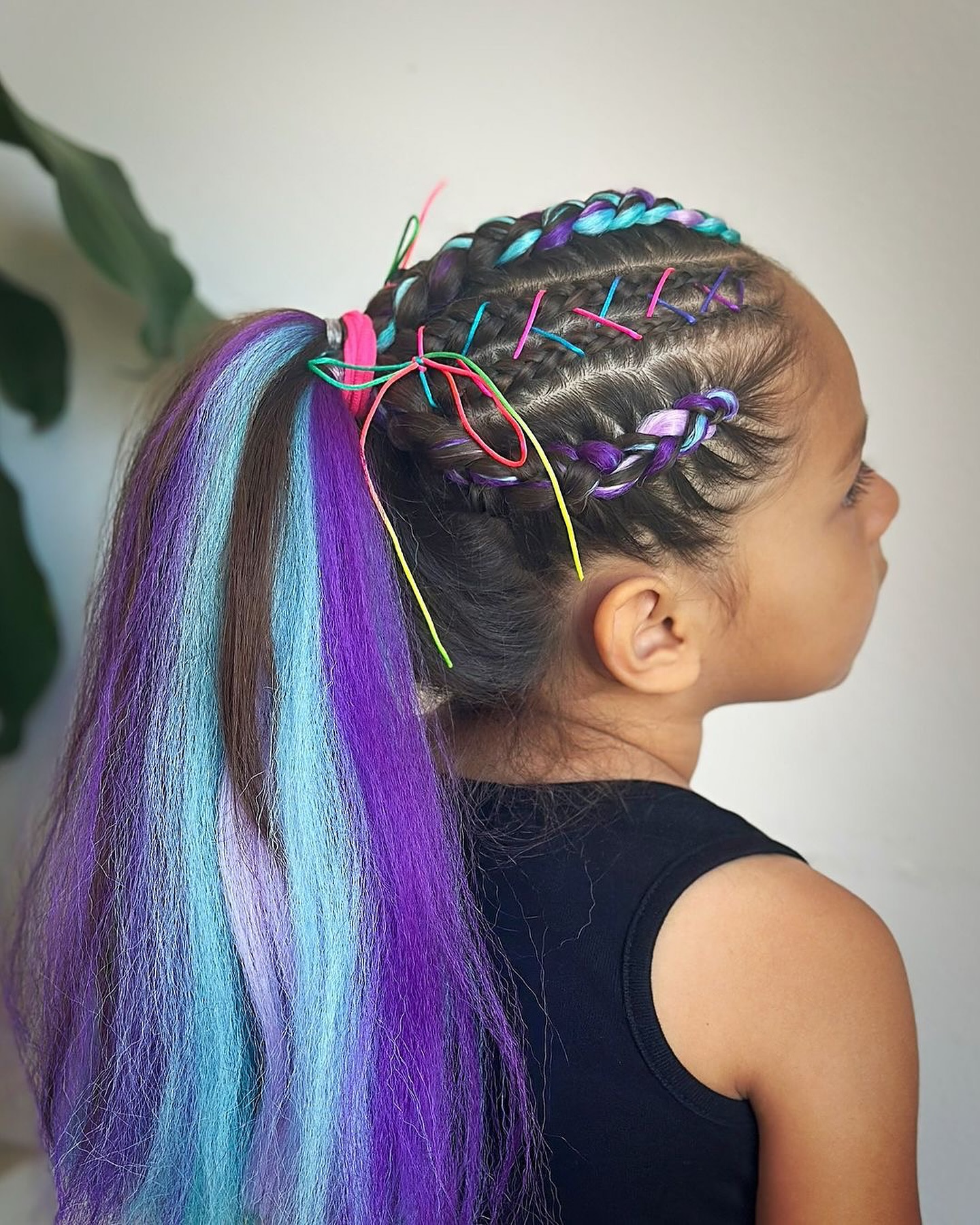 The Braid Lab