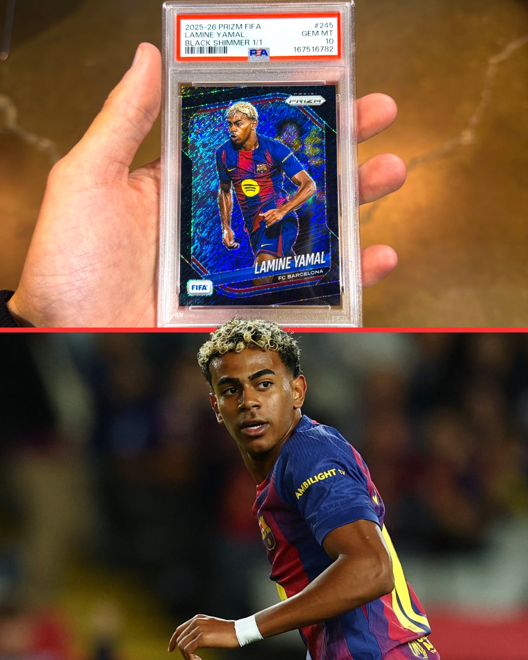 lamine yamal graded card 2023-24 Donruss #177 RC Rookie FC Barcelona Official FIFA Soccer Card in Raw (NM or Better) Condition : Collectibles & Fine Art proof acrylic case for preservation There's only one of these