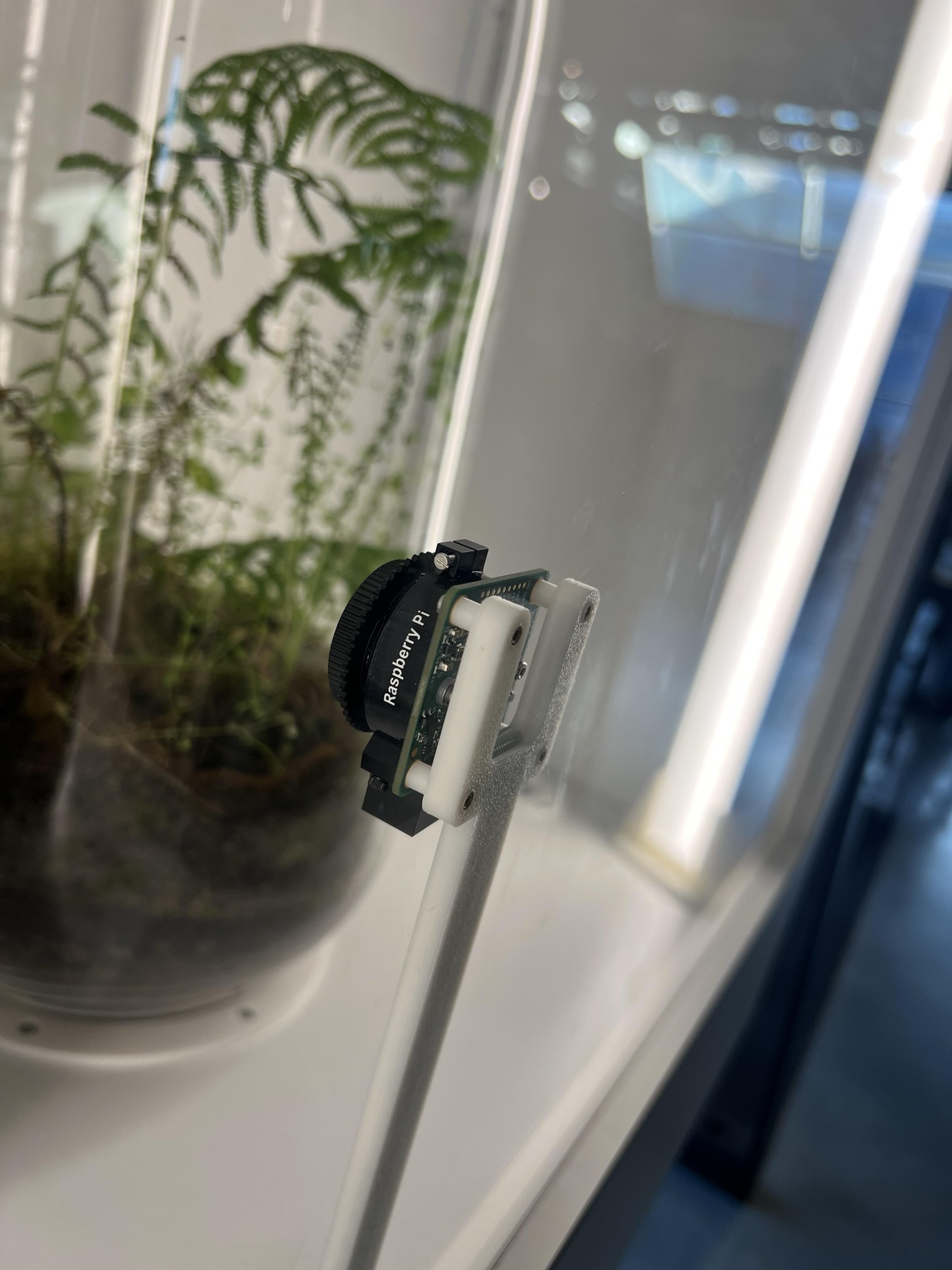 Ubuntu Maniax - Raspberry pi in a biological museum... | Facebook