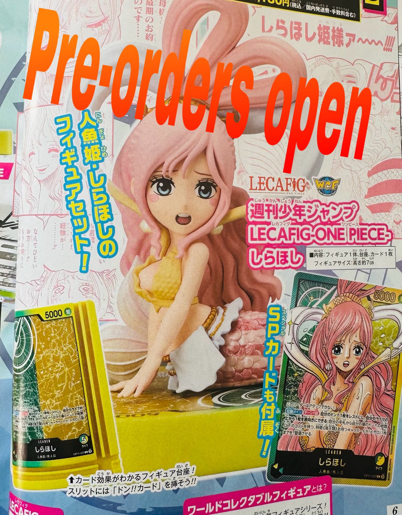 ??? RECAFIG SHIRAHOSHI — PRE-ORDERS NOW OPEN! ???
