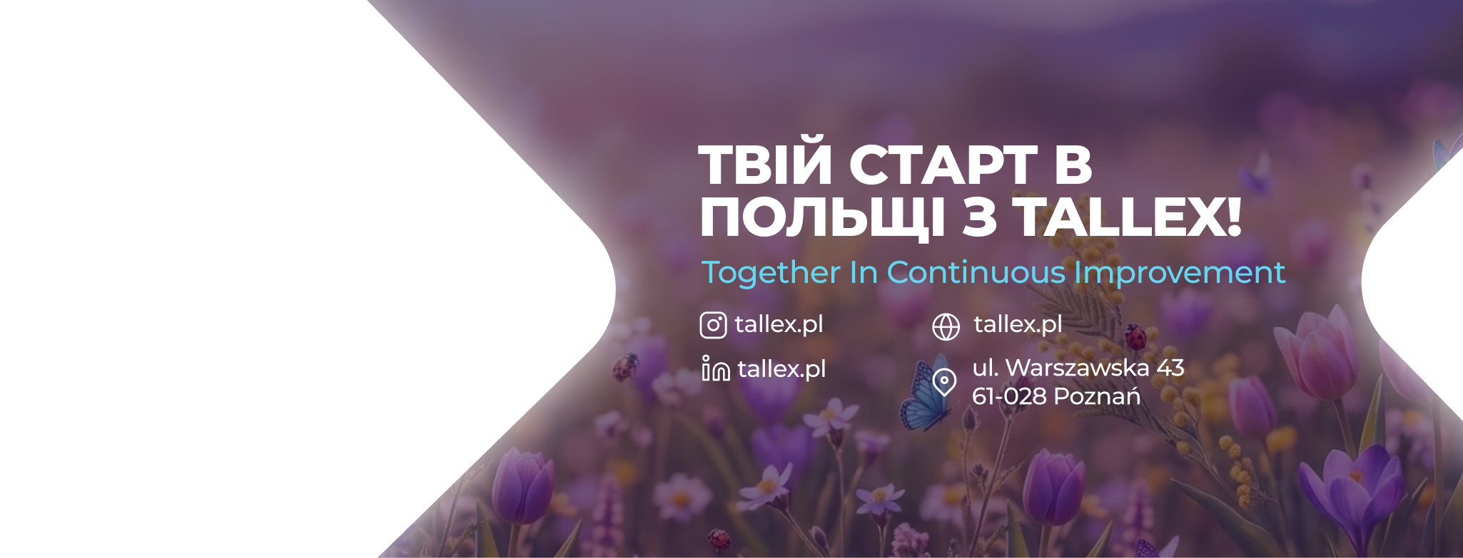 Tallex - Twoja Praca w Polsce | Poznan