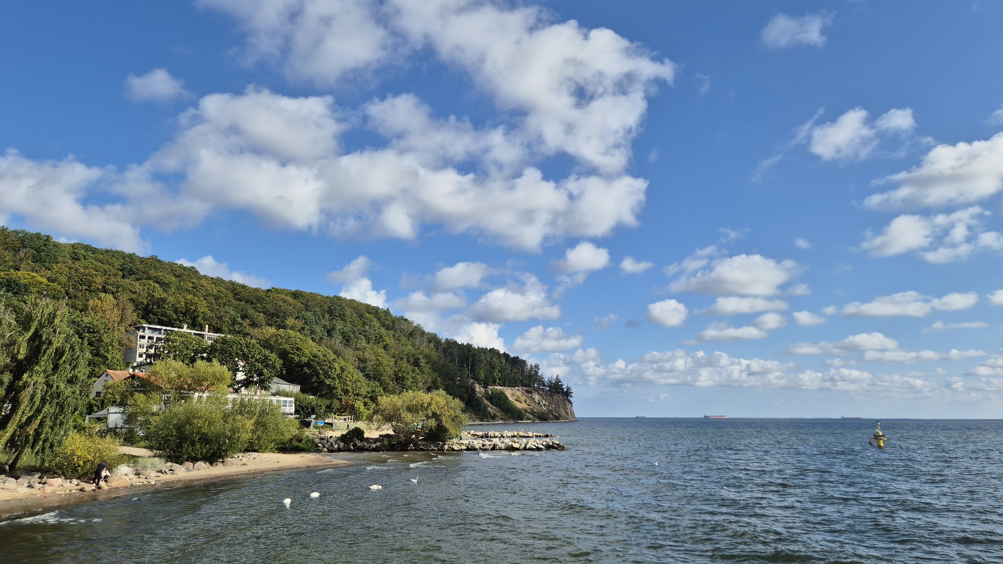 PLSP im. Magdaleny Abakanowicz w Gdyni | Gdynia