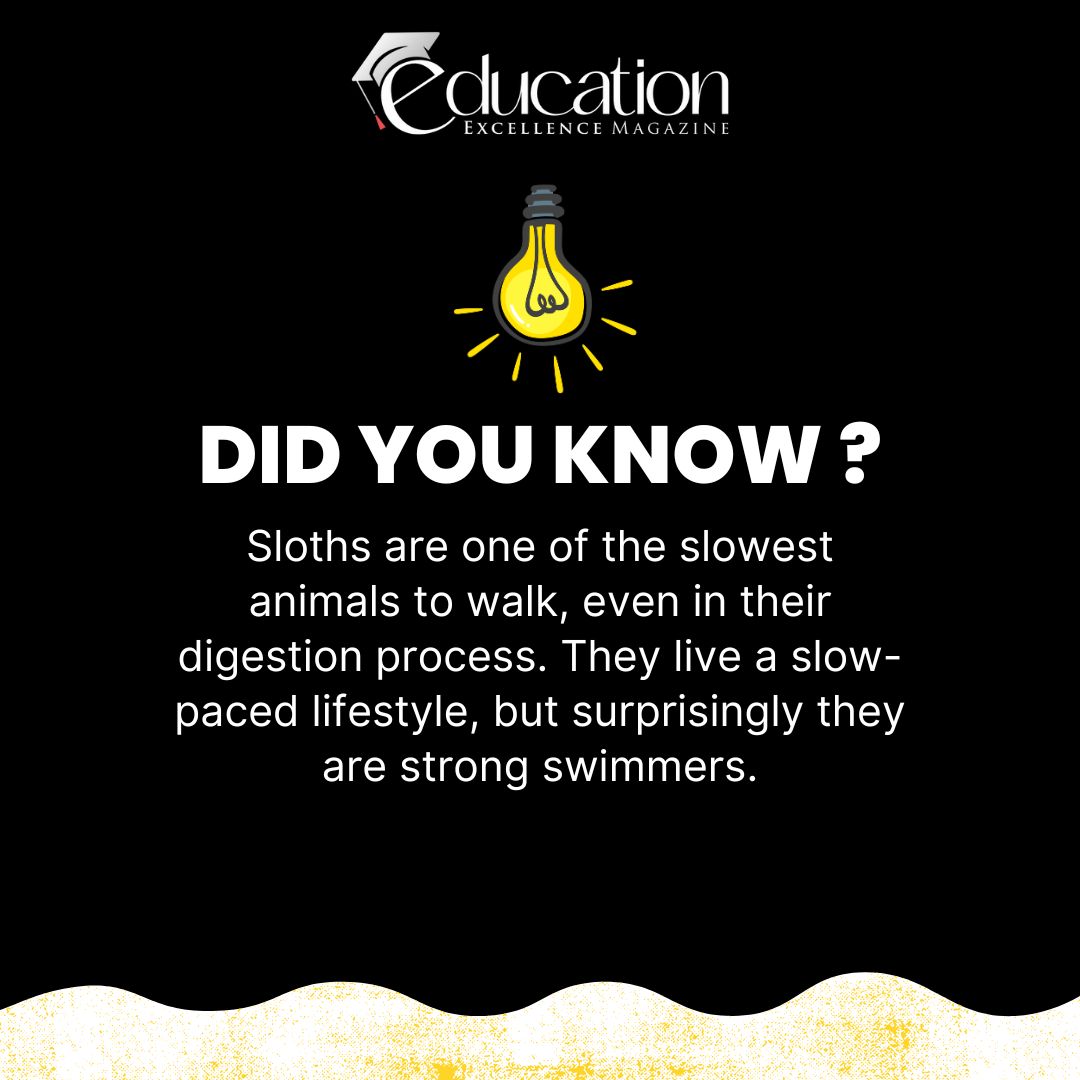 Did you know? 🧐 Sloths... - Education Excellence Magazine | Facebook