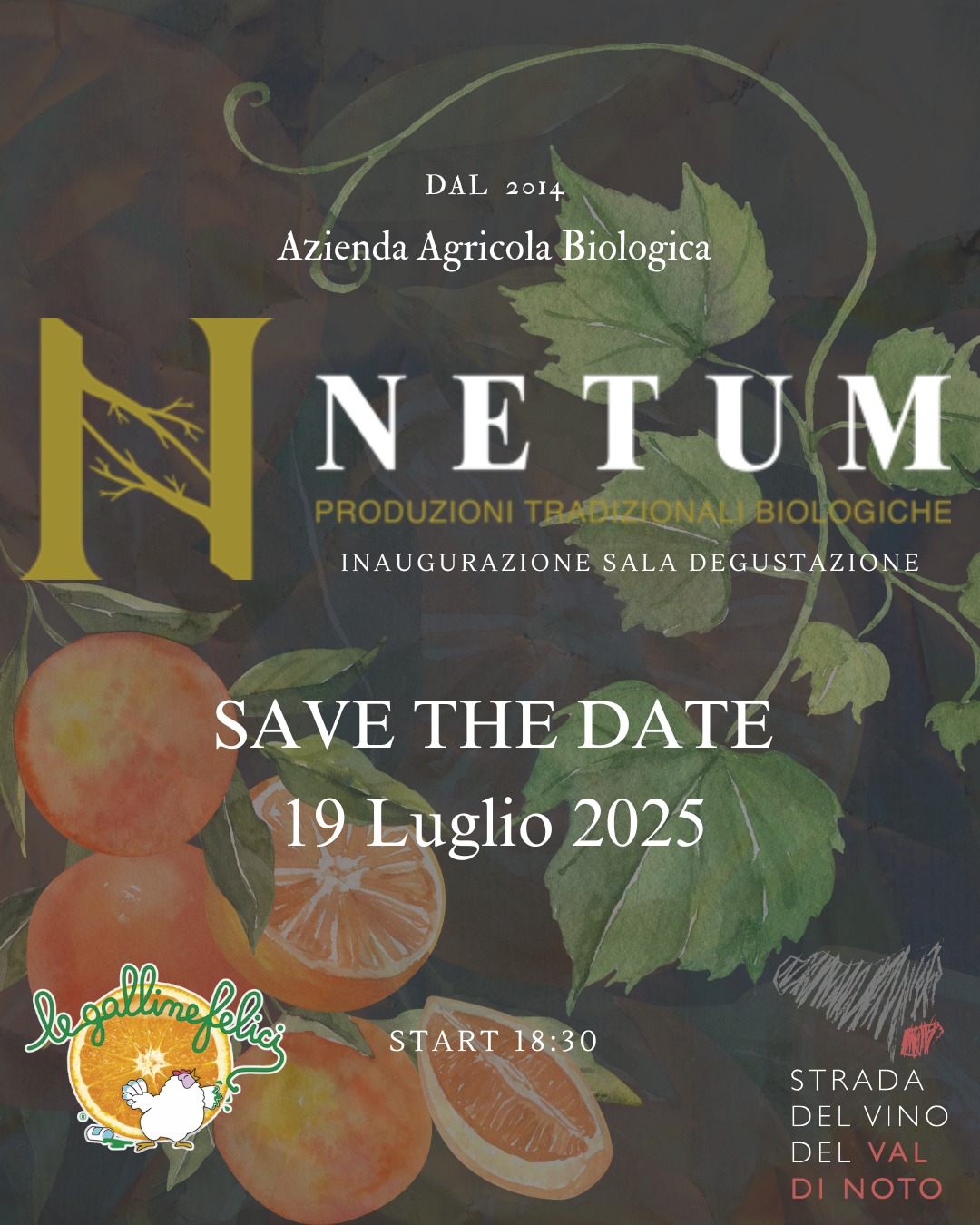 Netum Bio