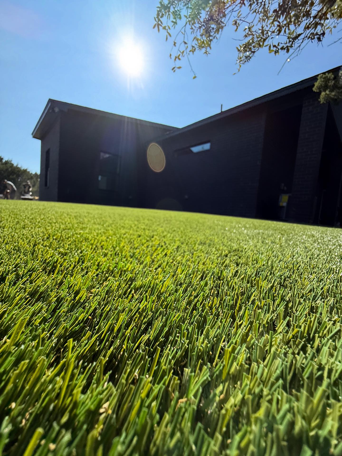 Texas Turf Rangers | Fort Worth TX