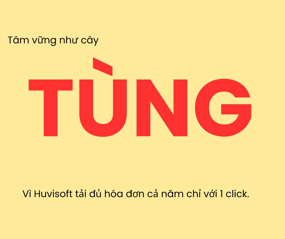 Phần mềm quản lý hóa đơn Huvisoft | Hanoi