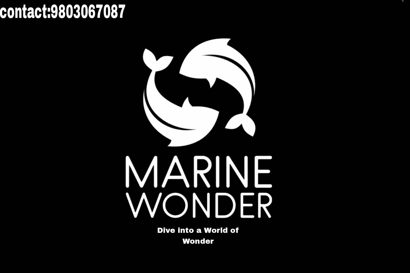 Marine Wonder