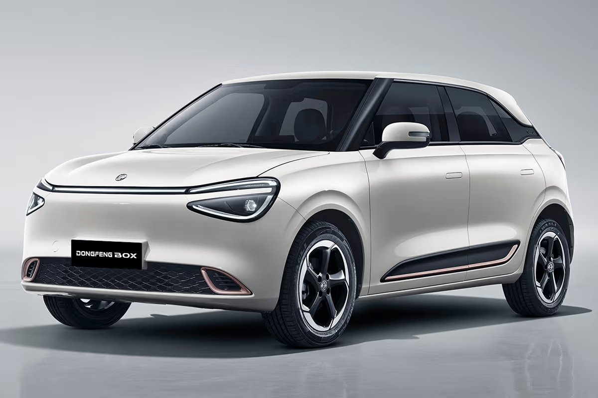 Dongfeng Box EV Users of Sri Lanka | Facebook