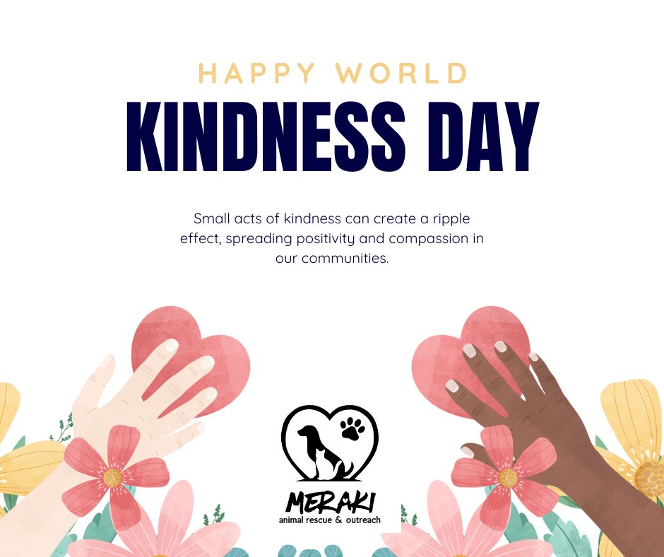 🌎💛 Happy World Kindness... - Meraki Animal Rescue & Outreach | Facebook