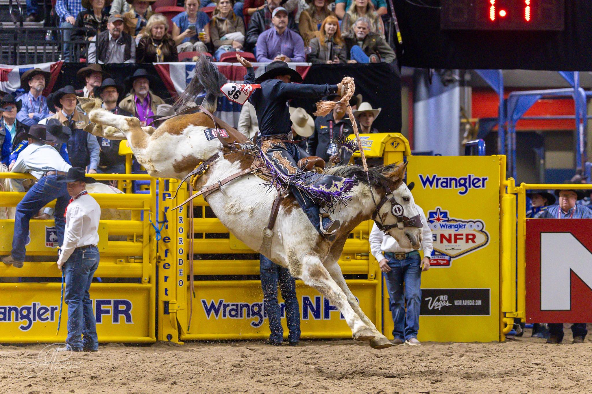 Weston Patterson Professional Saddle Bronc Rider