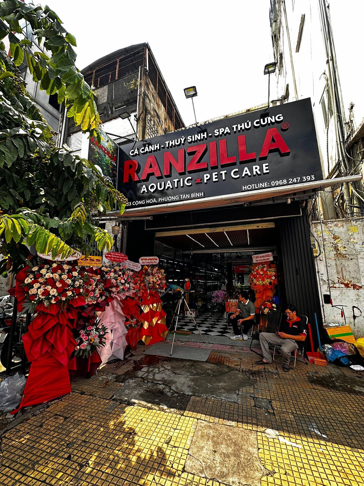 Ranzilla Aquatic - Cá Cảnh Thủy Sinh Ranzilla | Ho Chi Minh City