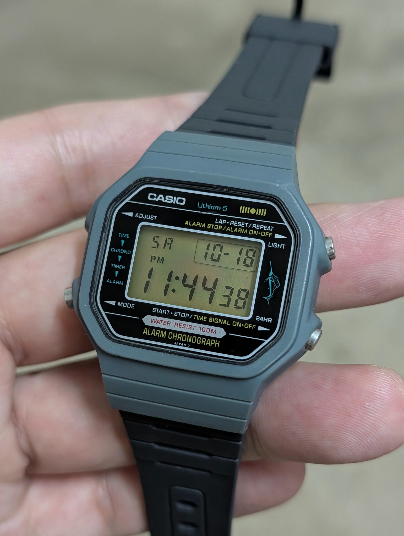 カシオ W-550 ?0s ”CASIO marlin” グレー Vint WTS CASIO MARLIN H110