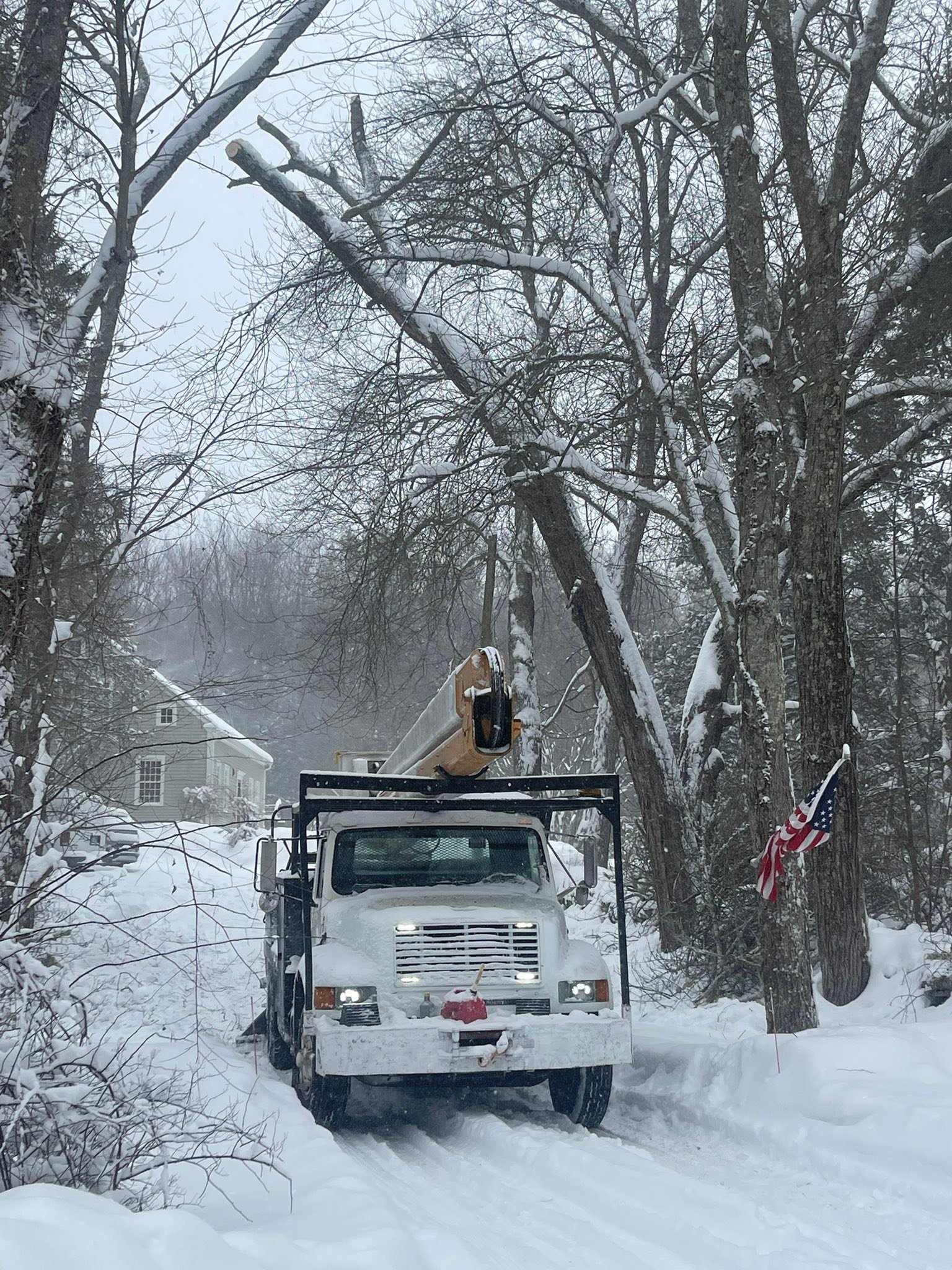 ASAP Tree and Property Solutions | Danielson CT
