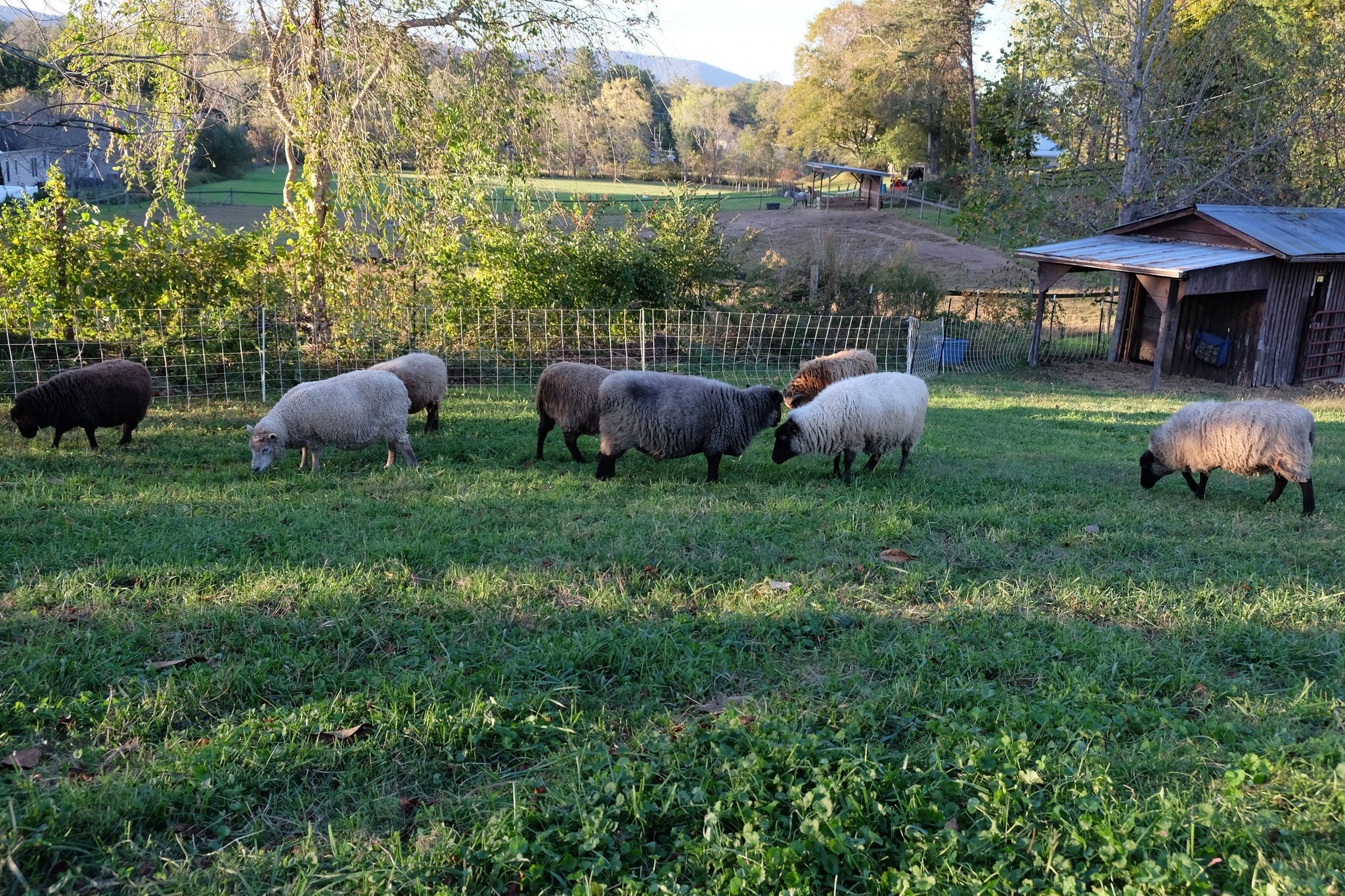 Small Potatoes farm