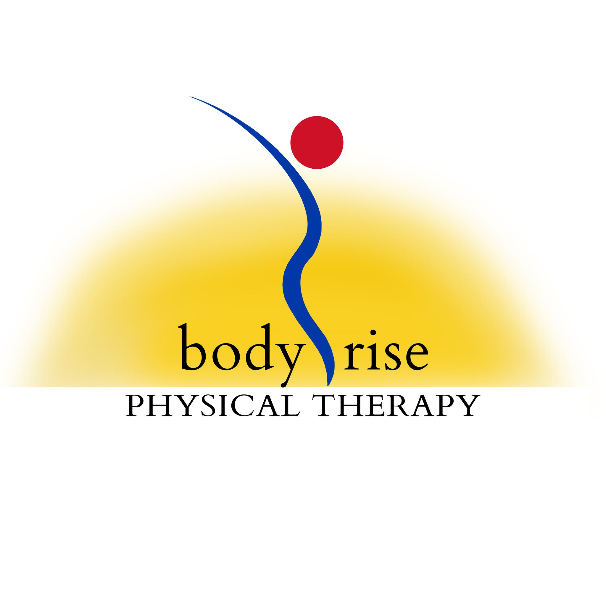 Body Rise Physical Therapy | Harwood Heights IL