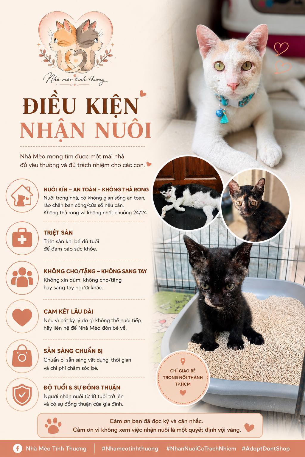 Nhà Mèo Tình Thương | Ho Chi Minh City