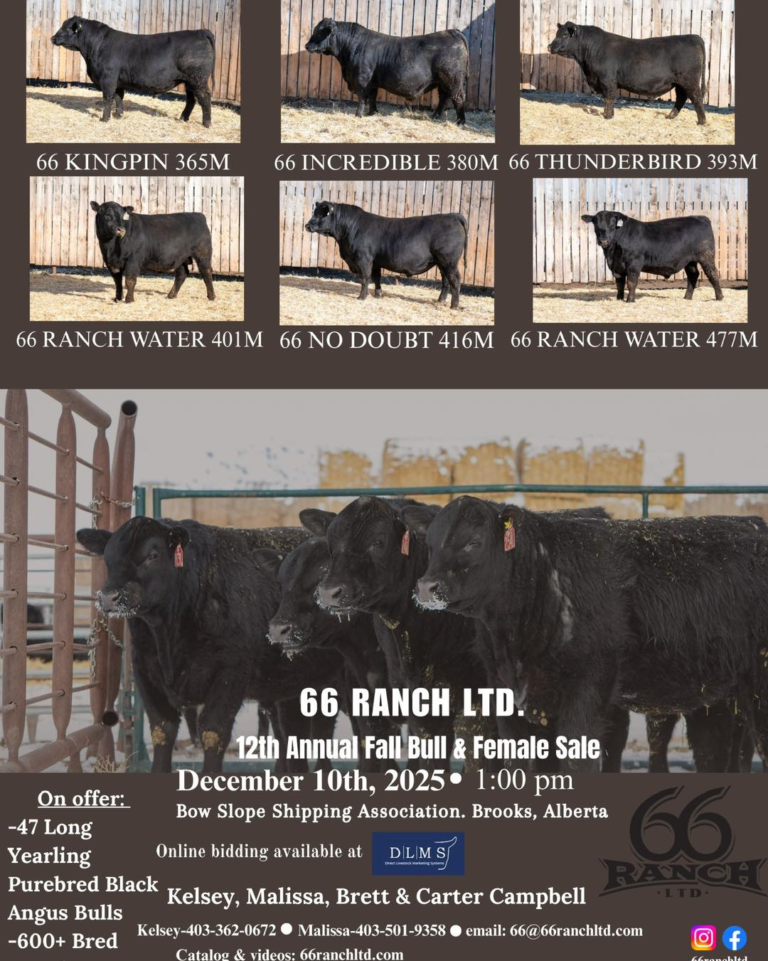 66 Ranch Ltd | Brooks AB