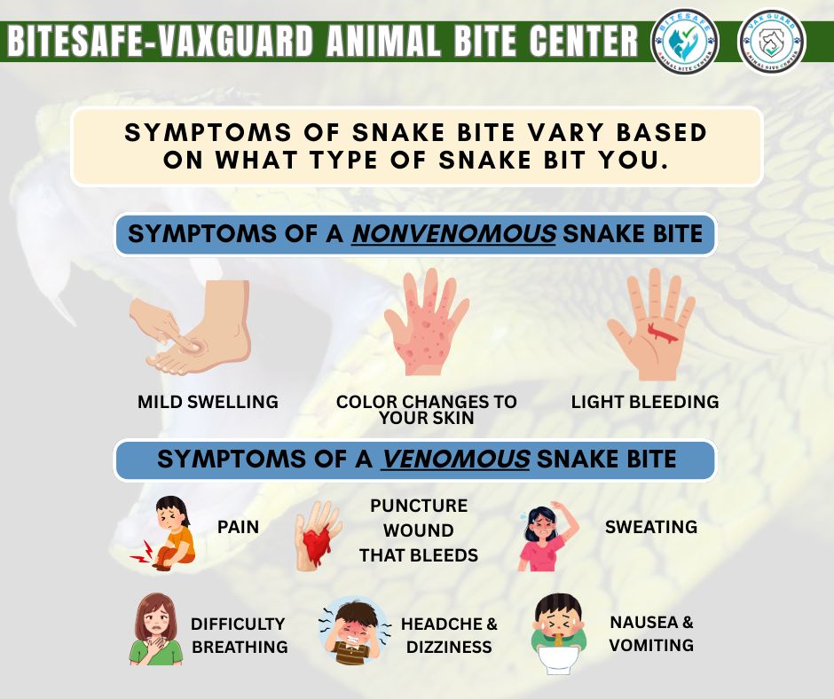 🐍 Snake bite requires... - Buhangin - Animal Bite Center | Facebook