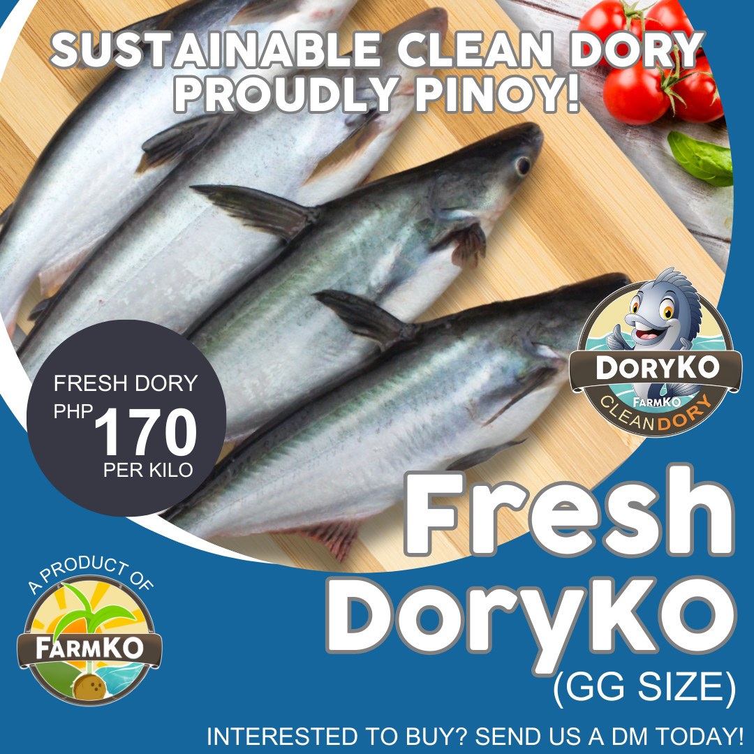 Dory Fish Price