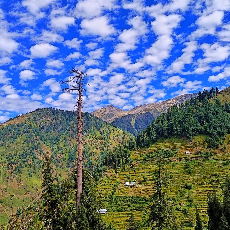 Beautiful view ️ #nature #viral | See The World