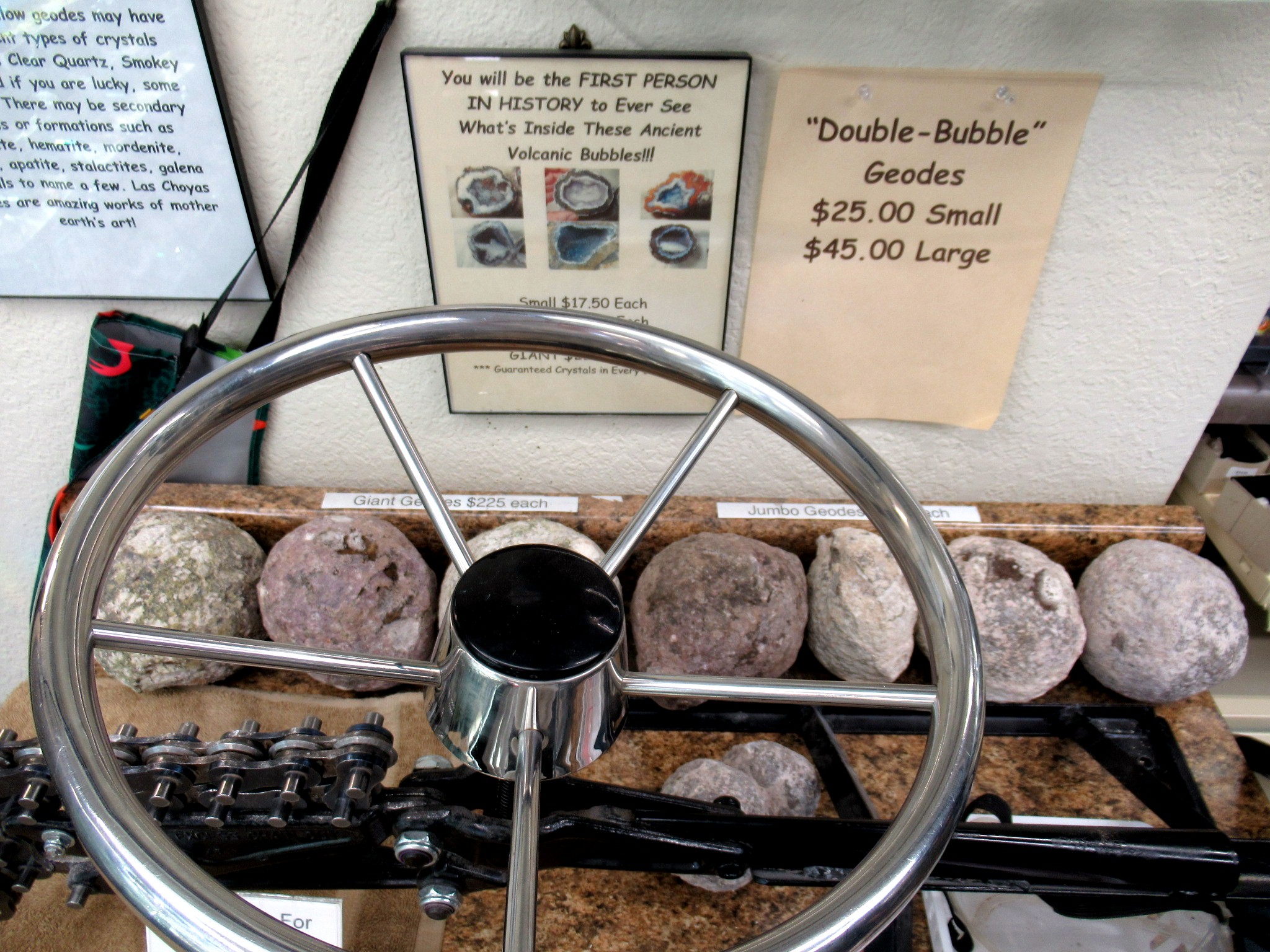 Prehistoric Fossils | Branson MO