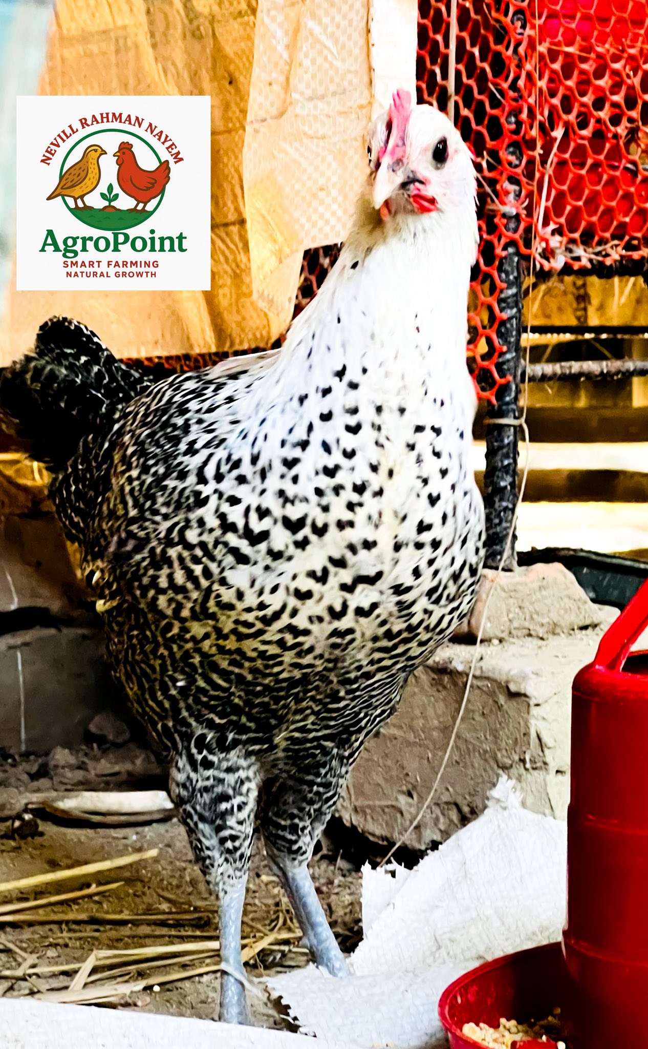 AgroPoint