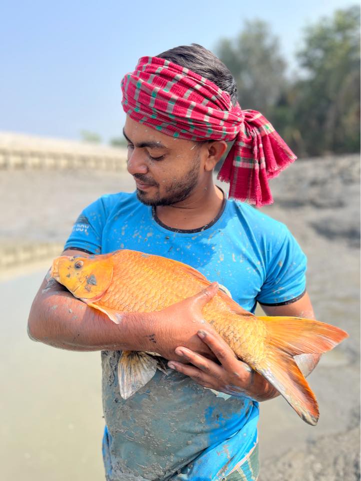 FishTube Bangladesh