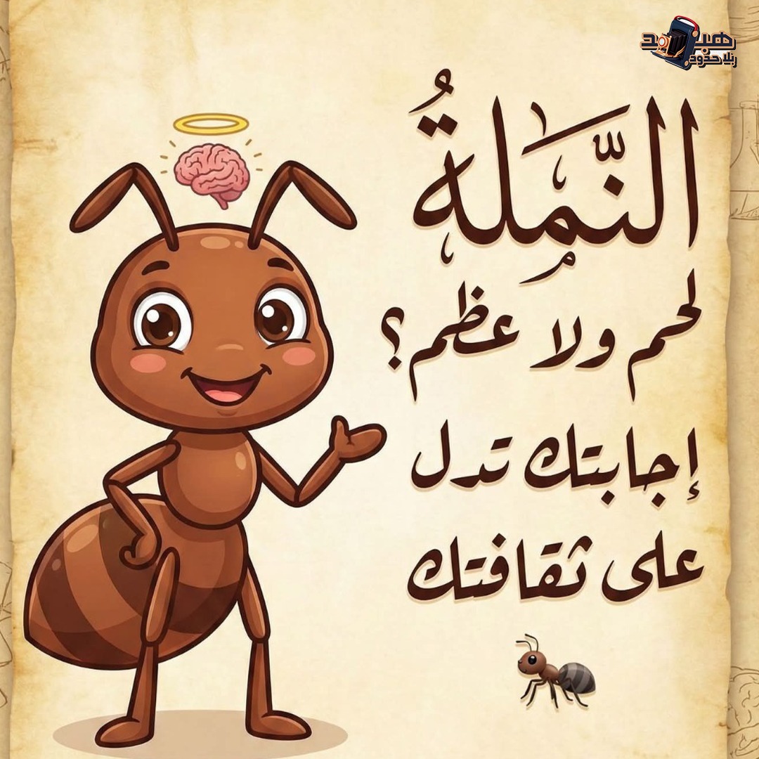هبد بلا حدود