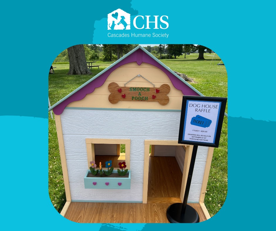 Cascades - 🎟️ RAFFLE ALERT! 🐾 Win a custom wooden dog house for your ...