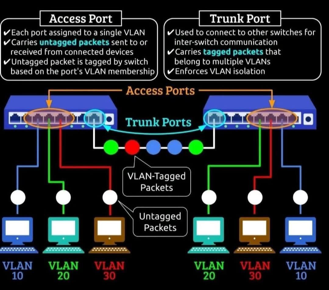 ACCESS PORT vs TRUNK PORT — DON’T... - Networking with Israr | Facebook