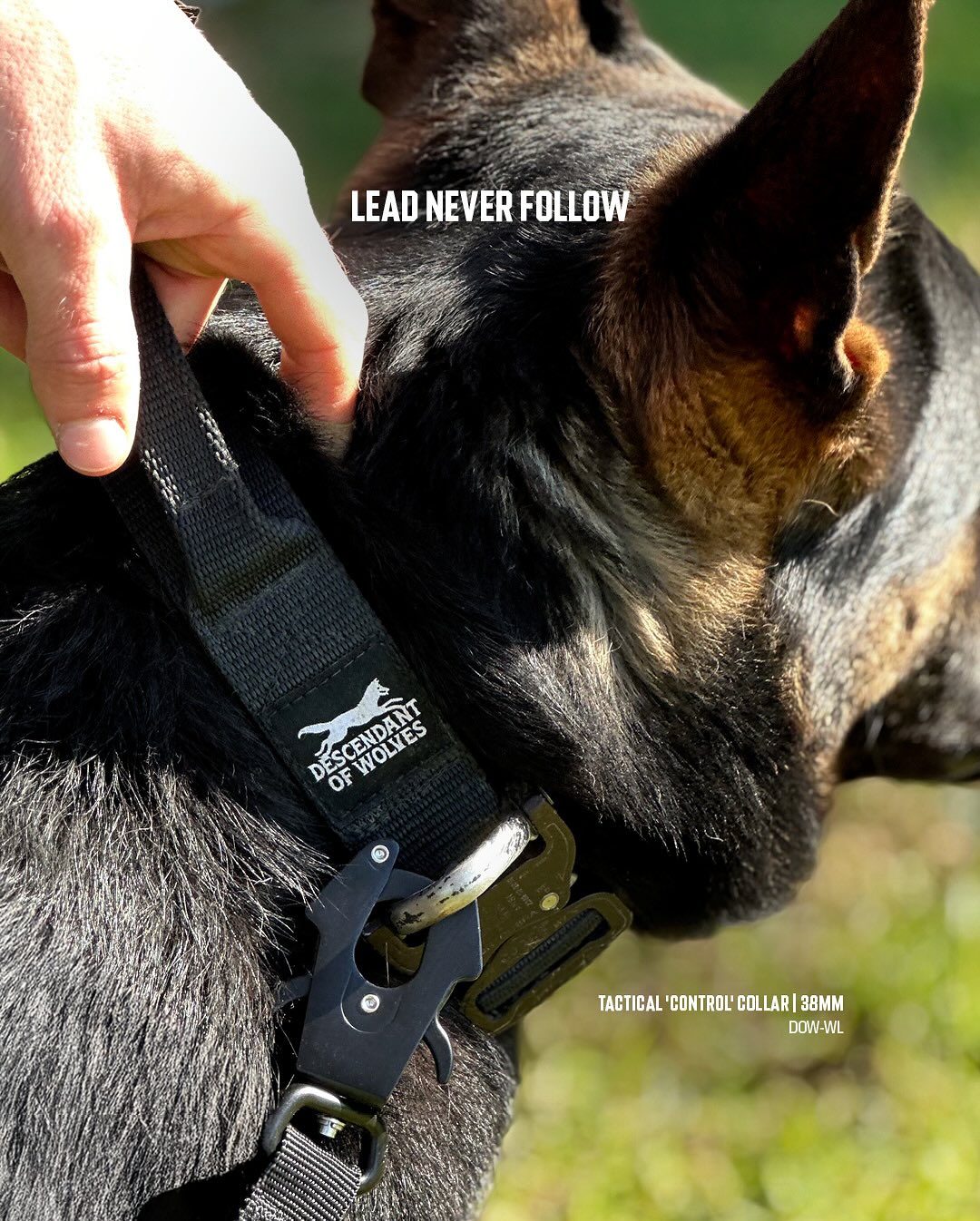 Control Headcollars For Horses Shires Control Headcollar In