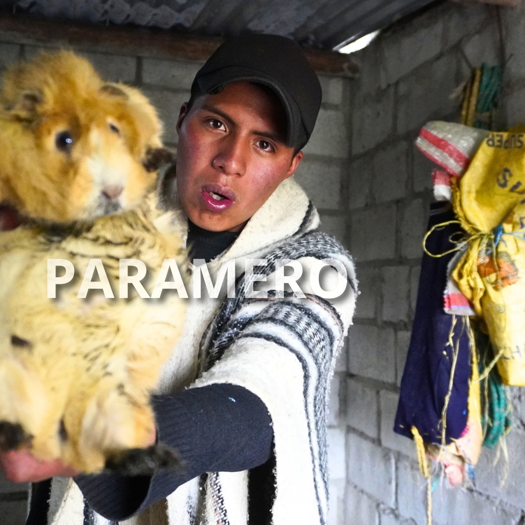 El Paramero
