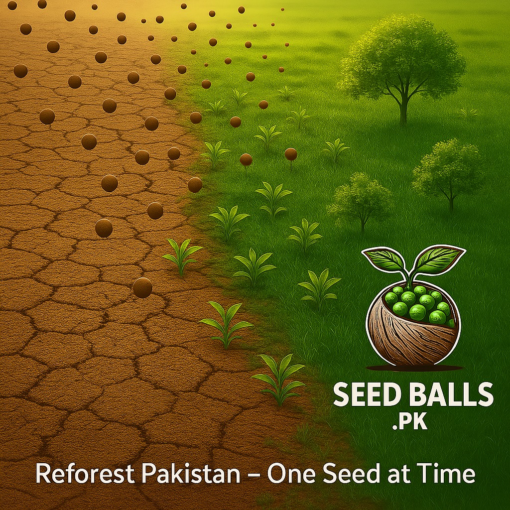 Seed Balls