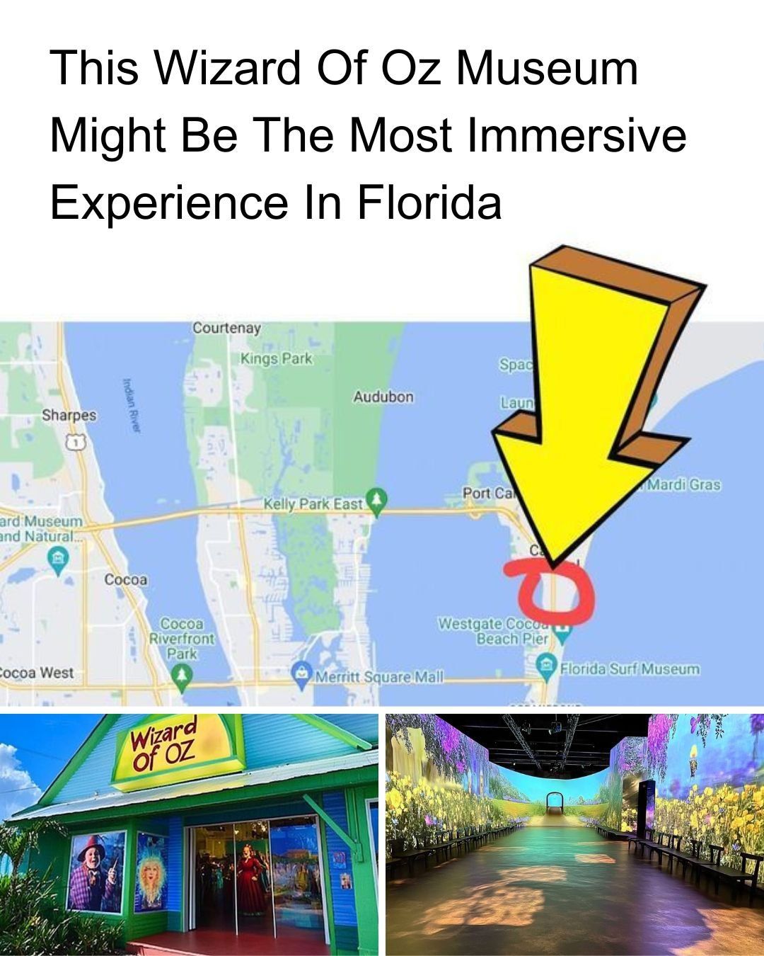Florida - Just follow the yellow brick road! 💛 | Facebook