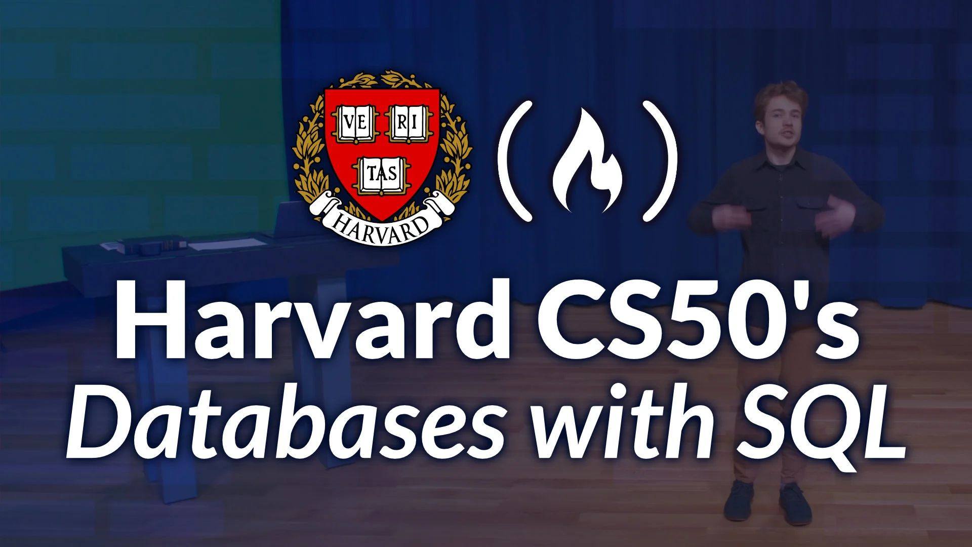 Dev - Học SQL chỉ với một video duy nhất từ khóa CS50’s Intro to ...