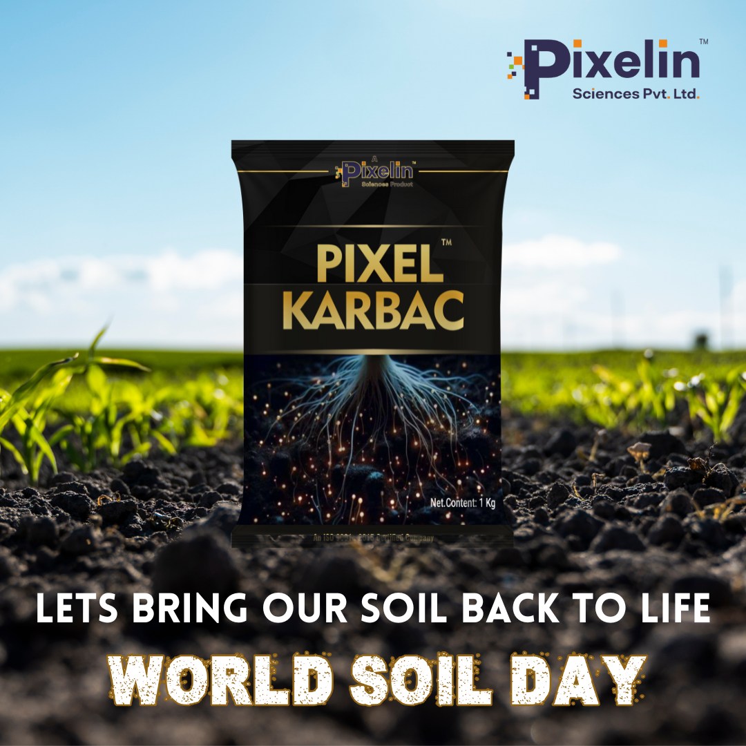 Pixelin Sciences Pvt Ltd | Hyderabad