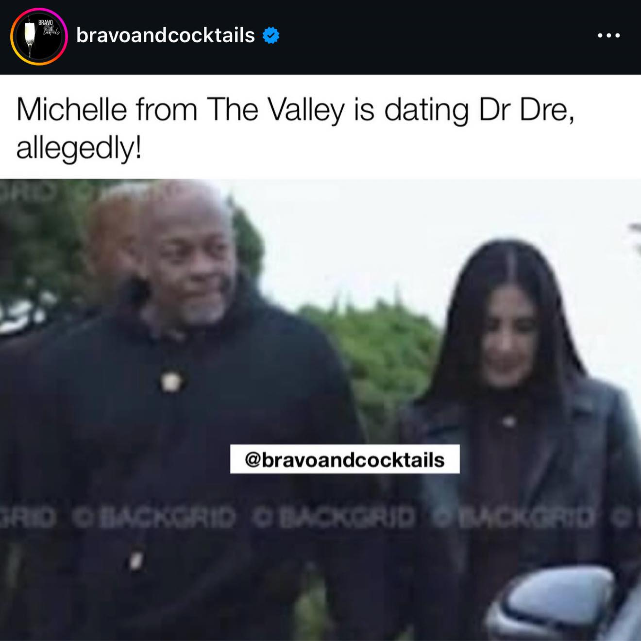 Michelle from The Valley is allegedly dating Dr.Dre 