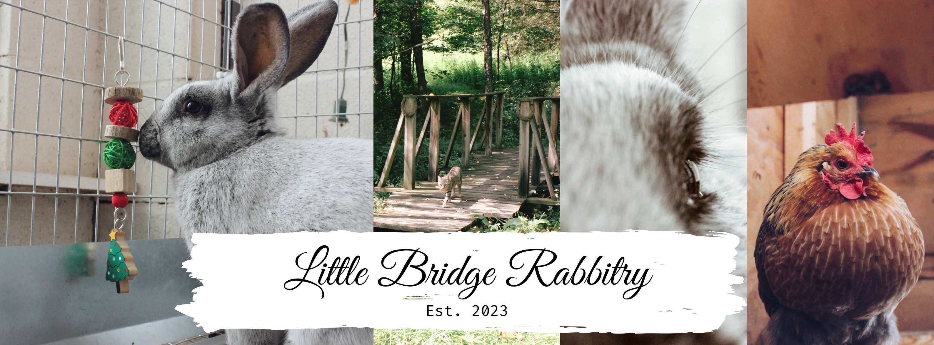 Little Bridge Rabbitry | Delhi NY