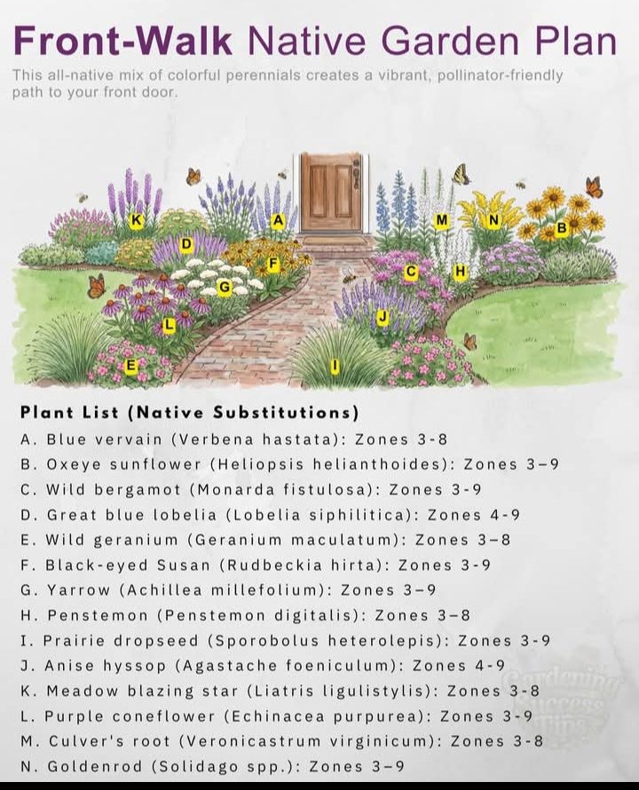 Create a vibrant, pollinator-friendly path with these native perennials ...
